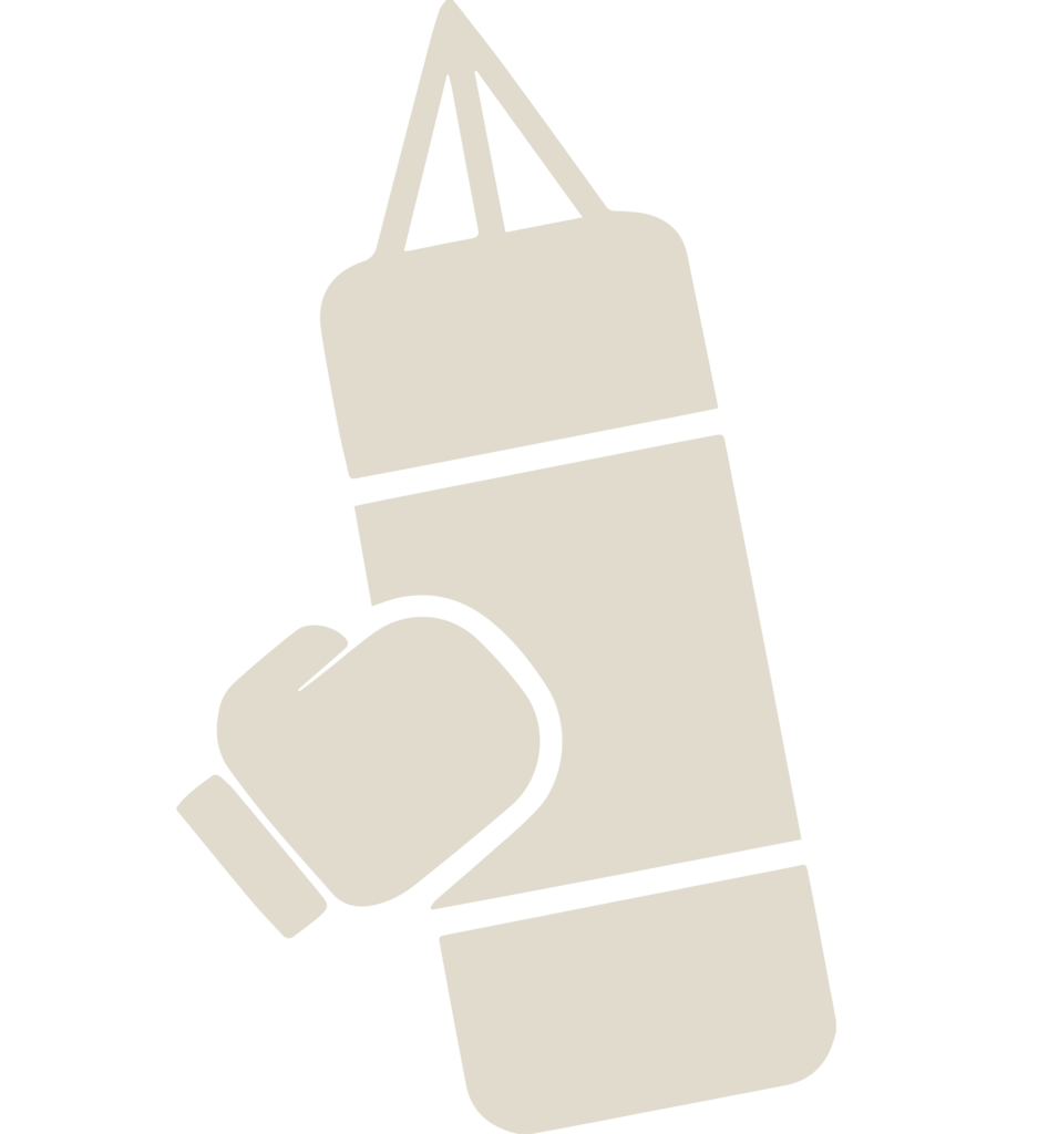 Boksen/zak training